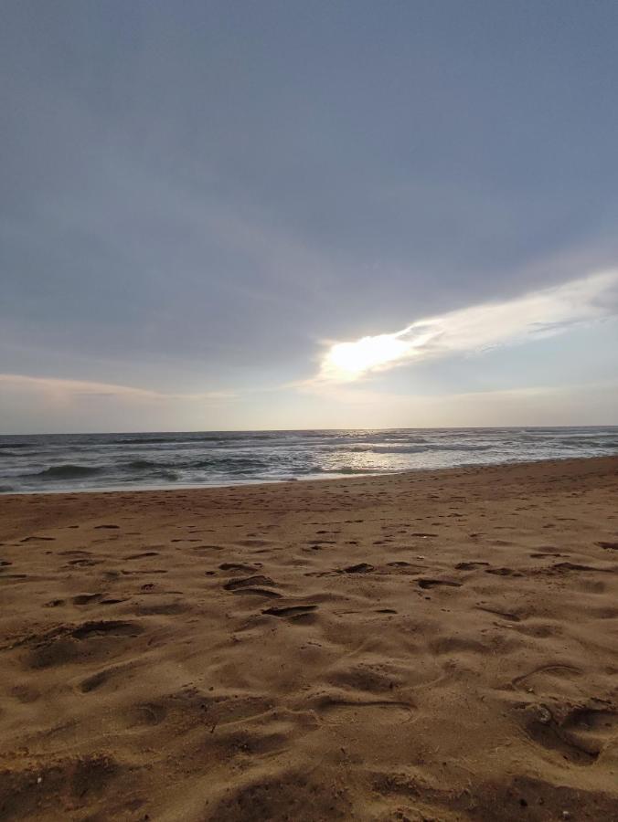 Hotel Candolim Aloft 外观 照片